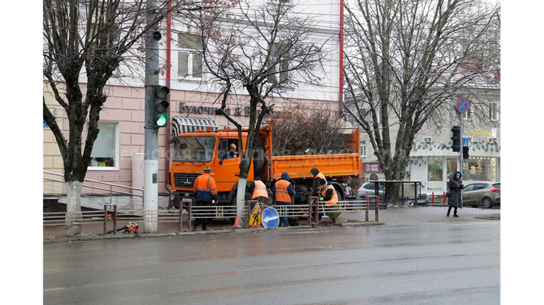 В Брянске с начала года кронировали 400 деревьев