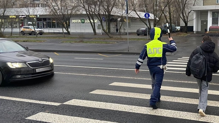 На Брянщине с начала года в ДТП погибли восемь пешеходов, еще 22 получили травмы
