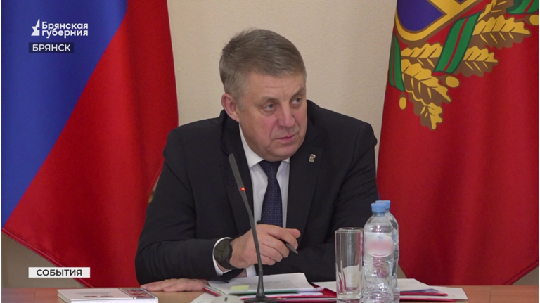 Брянский детский омбудсмен представила губернатору ежегодный доклад