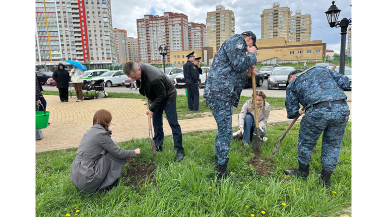 В Брянске у Центра образования «Перспектива» высадили 90 саженцев растений