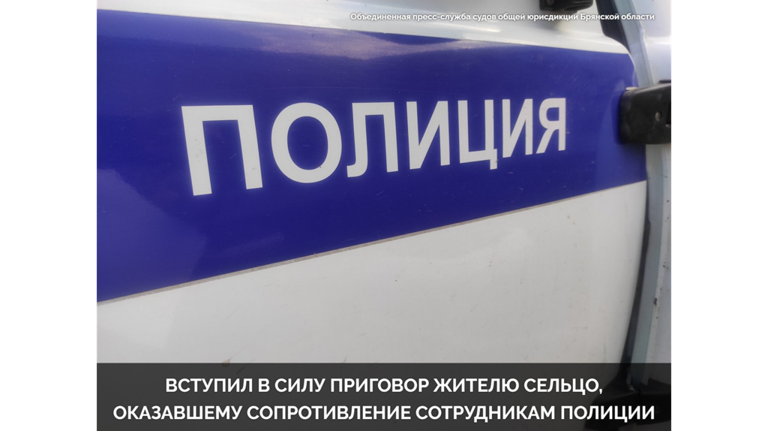 В Сельцо пьяный мужчина сбежал из скорой и дал отпор бросившимся за ним полицейским