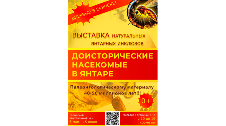 Брянцам покажут доисторических насекомых в янтаре