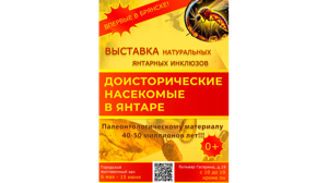 Брянцам покажут доисторических насекомых в янтаре