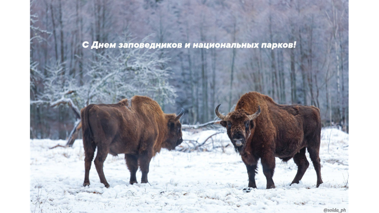 Заповедник «Брянский лес» отмечает свой «профессиональный» праздник