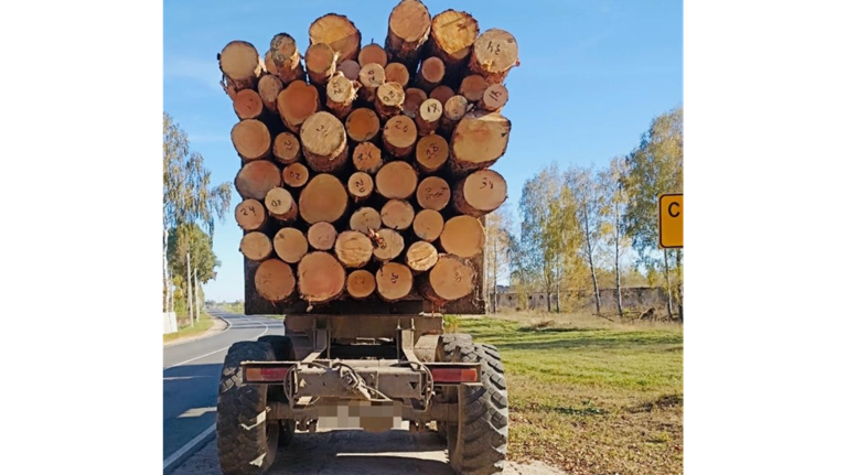 Жителя Красной Горы осудят за контрабанду лесоматериалов