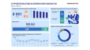 В 2023 году в Брянской области насчитали 8951 строителя