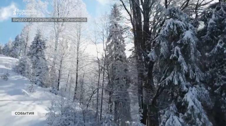 В Брянской области прогнозируют морозы до 20 градусов