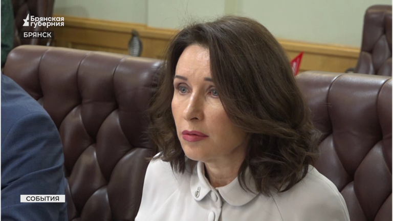 Губернатор Брянской области провел встречу с гарантирующим поставщиком электроэнергии