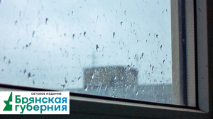Дождь с грозой накроет Брянщину 14 июня