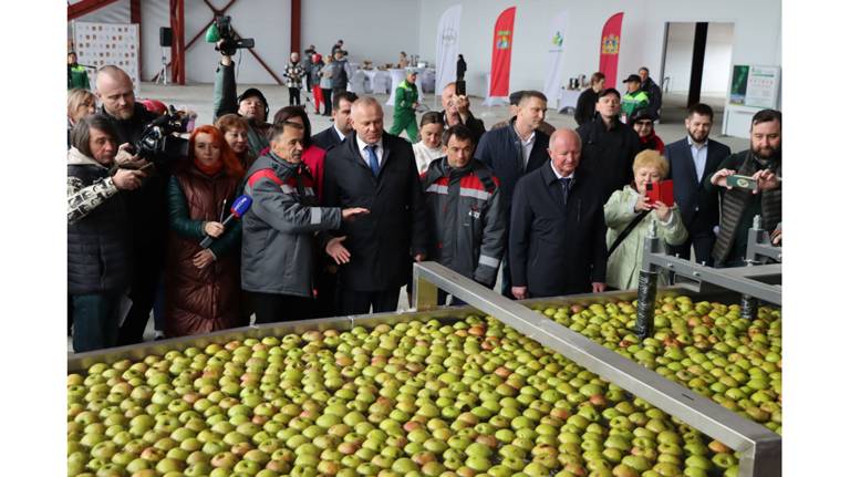  В Клетнянском районе открыли плодохранилище для яблок на 5 тысяч тонн
