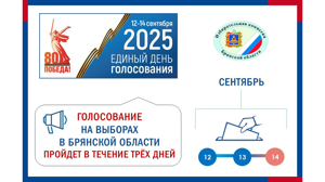 Брянцы будут голосовать 12,13 и 14 сентября