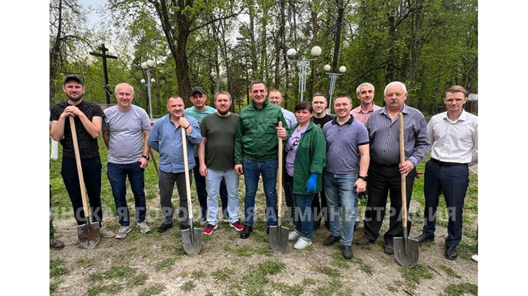 В урочище Лесные сараи в Брянске вместо погибших ясеней высадили березы и клены