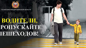 В Брянске проходит операция «Безопасный пешеходный переход»