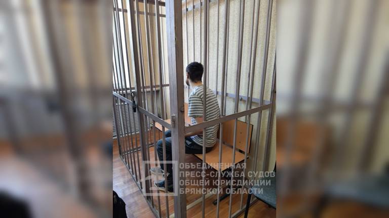 Задержанного в Брянске при подготовке к теракту пособника ВСУ взяли под стражу