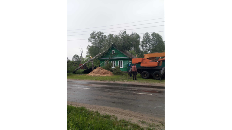 В Клинцах продолжаются работы по устранению последствий сильного ветра и дождя