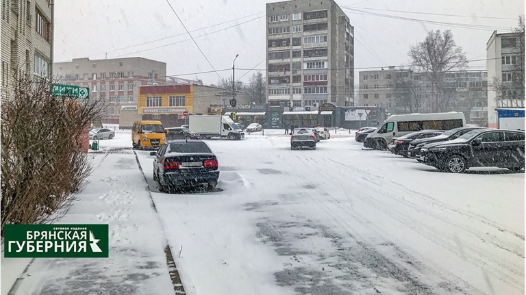 В Брянской области 8 апреля обещают снег с дождём 