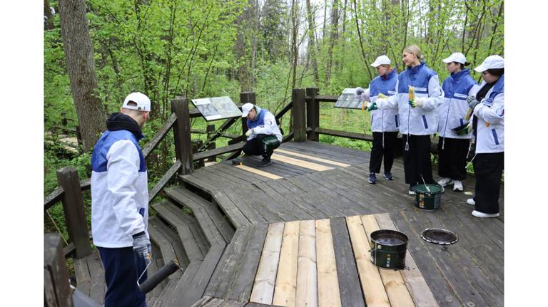 Волонтерские выходные прошли в заповеднике «Брянский лес»