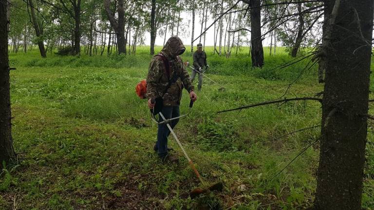 Стартовала подготовка к выставке «День Брянского поля – 2024»