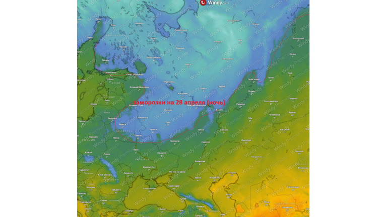Синоптик Тишковец прочит Брянщине заморозки через неделю