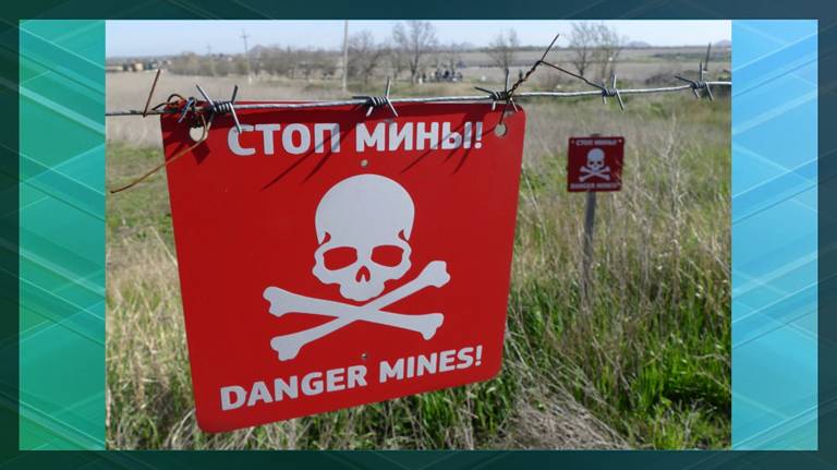 Житель Климовского района погиб, подорвавшись на мине