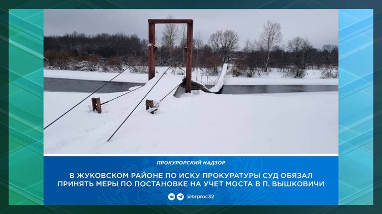 Жуковская администрация возьмет на баланс подвесной мост в поселке Вышковичи