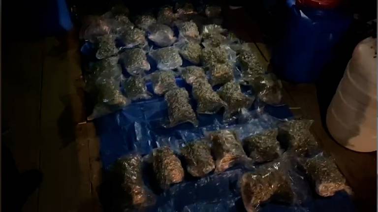 У брянца в гараже нашли 15 килограммов марихуаны