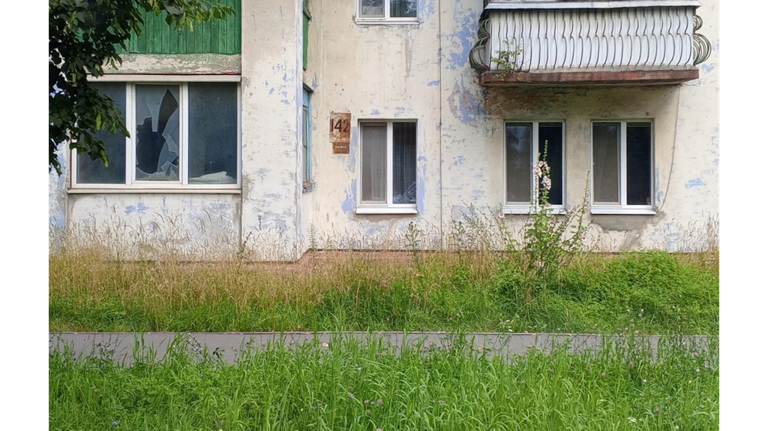 Жители бежицких многоэтажек пожаловались на заросшие травой дворы