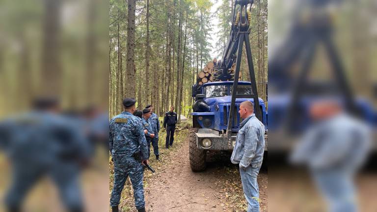 Брянские приставы взыскали с лесозаготавливающего предприятия 43 млн рублей