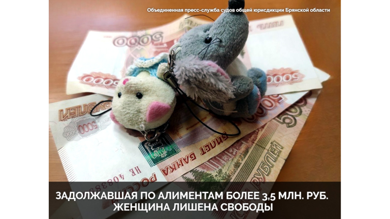 В Клинцах задолжавшую более 3,5 млн рублей алиментщицу отправили на полгода в колонию