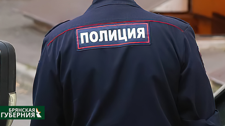 Брянец украл у приятельницы пять серебряных и одно золотое украшение