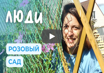 Жизнь среди роз. Большой сад, о котором мечтают все | ЛЮДИ