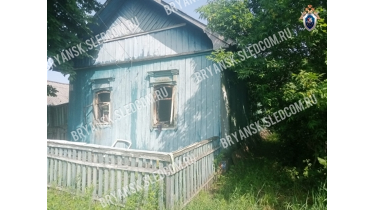 Брянские следователи начали проверку гибели людей на пожаре в селе Каменский Хутор