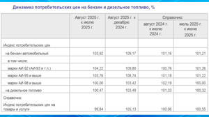 В Брянской области бензин вырос в цене за месяц на 3,9 процента