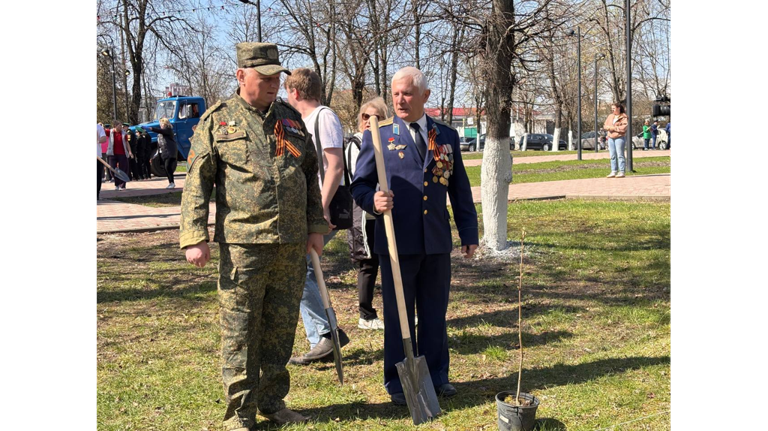 В Брянске в сквере Ленина высадили рябиновую аллею
