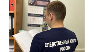 Бывшего менеджера брянской фирмы обвинили в мошенничестве на 4,7 млн рублей