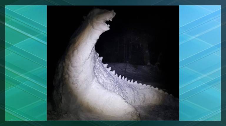 В Белых Берегах заметили дракона на лыжне