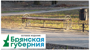 Жителям Дятьково предложили на выбор два объекта для благоустройства