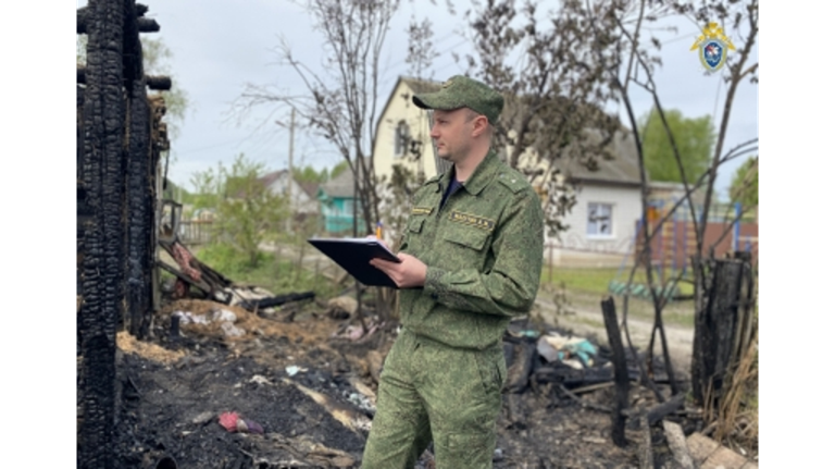 Следователи выясняют обстоятельства гибели трех человек на пожаре в Сельцо