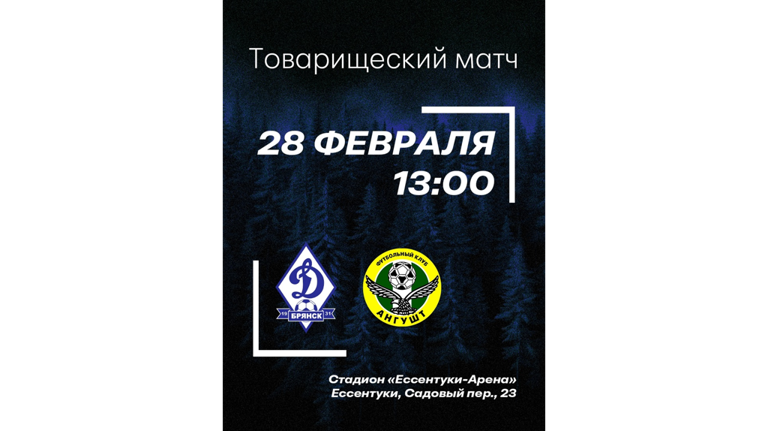 Очередной товарищеский матч брянское «Динамо» проведет против «Ангушта» из Назрани