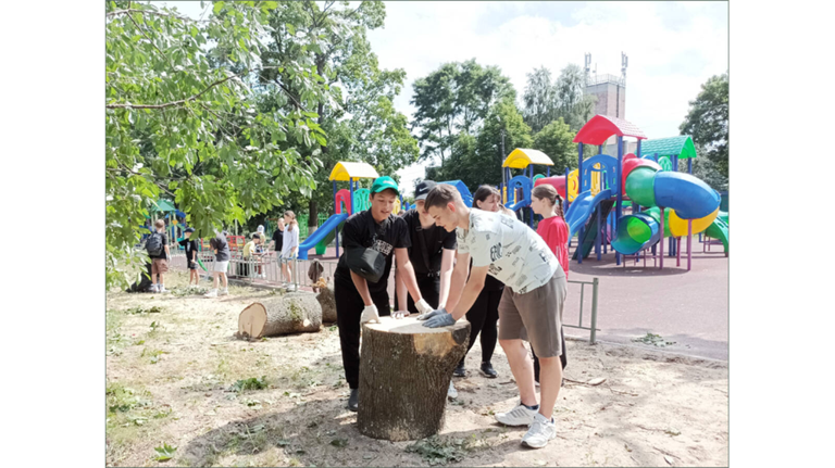 «Первые» помогли коммунальщикам Климово убрать деревья после урагана