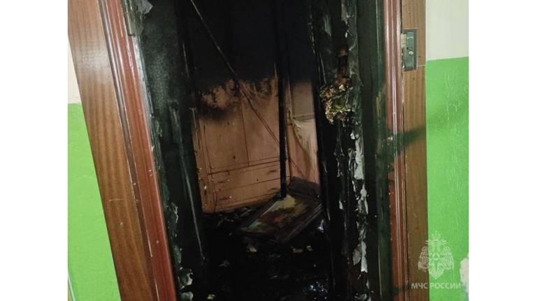 При пожаре в квартире в Советском районе Брянска погибла женщина