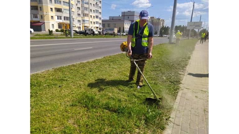 В Советском районе Брянска акция «Чистый город» охватила 28 участков