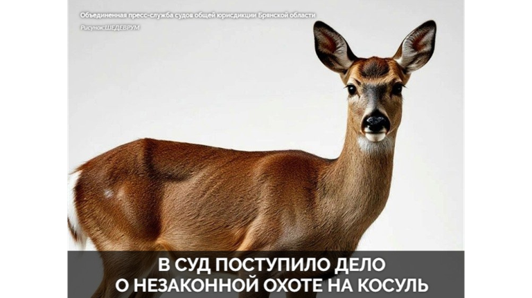 В Злынковском районе осудят пятерых браконьеров за убийство четырех косуль