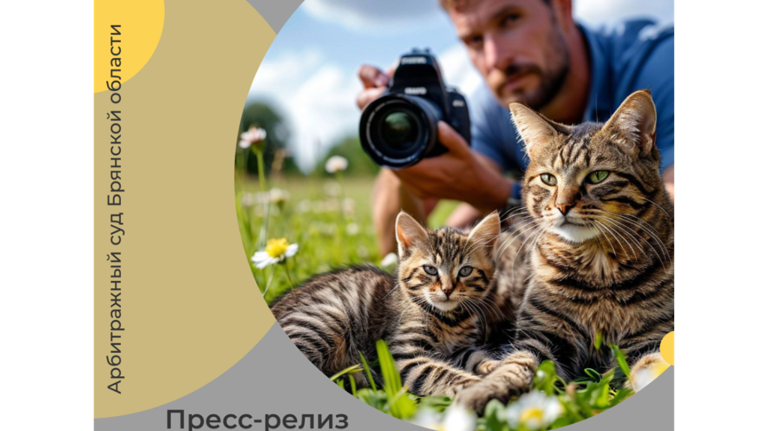 С брянского предпринимателя требуют 66 тысяч рублей за фото «Кошки»