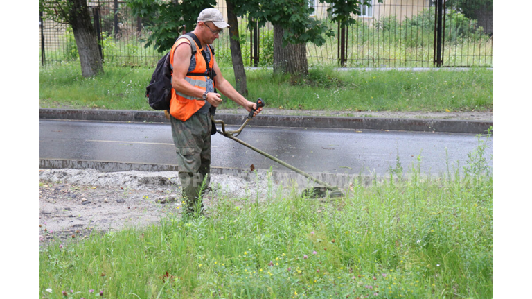 В Брянске за сутки скосили траву на площади в 13 футбольных полей