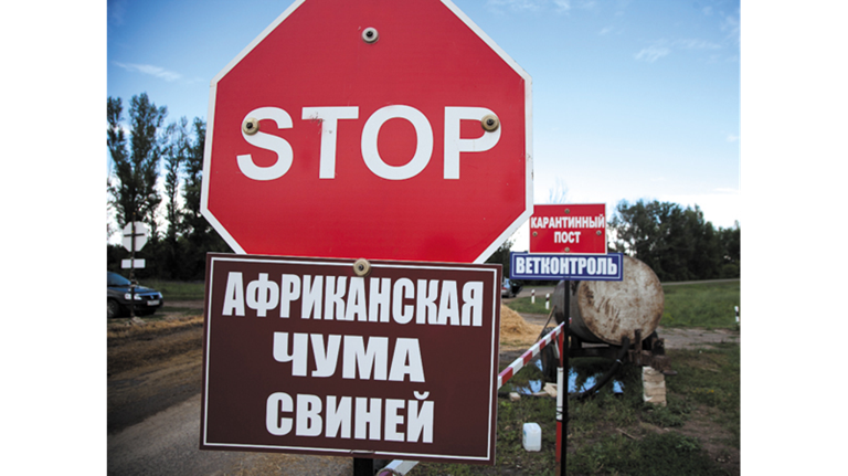 Брянским фермерам напомнили о месячнике по птичьему гриппу и АЧС Брянским фермерам напомнили о месячнике по птичьему гриппу и АЧС