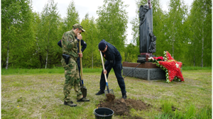 Росгвардейцы высадили кедры и сосны на новой аллее памяти в Севском районе