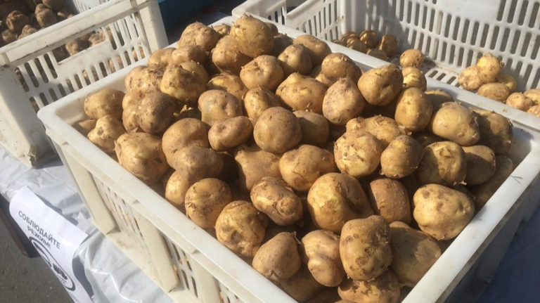 Урожай спас кошельки: картофель обвалился в цене в супермаркетах Брянщины