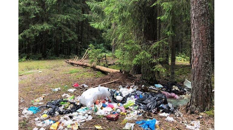Накануне очередных майских праздников брянцам напомнили о штрафах за оставленный на природе мусор