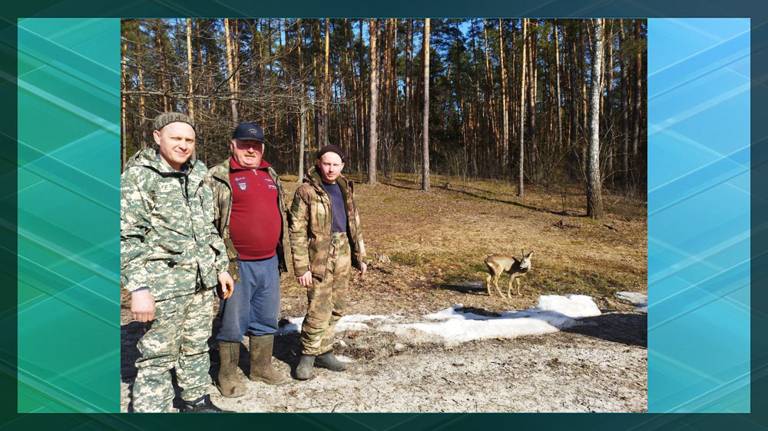 Жители Севска подобрали и выходили детёныша косули